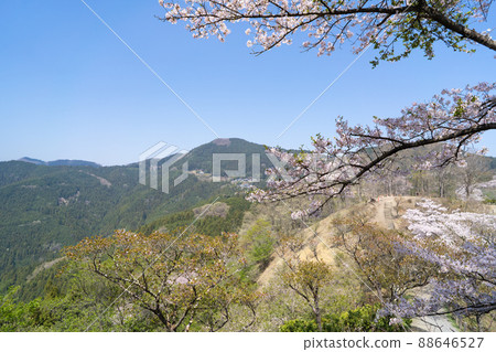 從櫻山山頂看到的風景（群馬縣藤岡市） 88646527