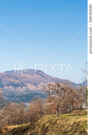 Mt. Neko and the blooming cherry blossoms seen from Aso Takamori are beautiful Mt. Neko and the blooming cherry blossoms seen from Aso Takamori are beautiful 88646886