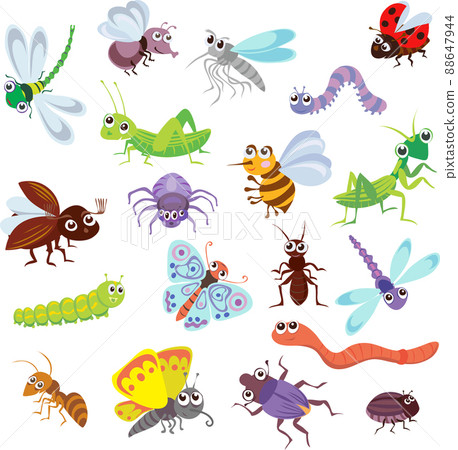 funny bugs and other insects, pattern, bugs, various poses and situations, drawing, vector, images, cartoon funny bugs and other insects, pattern, bugs, various poses and situations, drawing, vector, images, cartoon 88647944