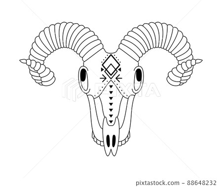 Animal skull in boho style with geometric ornaments. Tribal outline illustration. Animal skull in boho style with geometric ornaments. Tribal outline illustration. 88648232