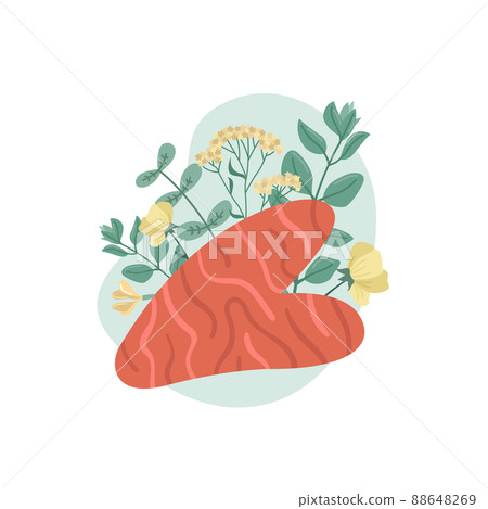 Vector illustration of gouache scrapers for facial massage with botanical decor. Beauty Industry Vector illustration of gouache scrapers for facial massage with botanical decor. Beauty Industry 88648269