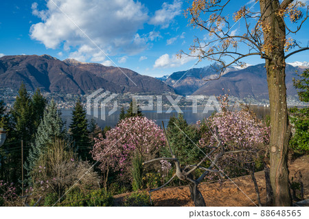 View from Botanical park in Gambarogno, Switzerland, in spring View from Botanical park in Gambarogno, Switzerland, in spring 88648565