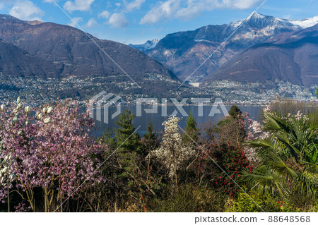 Spring view from Botanical park in Gambarogno, Switzerland Spring view from Botanical park in Gambarogno, Switzerland 88648568