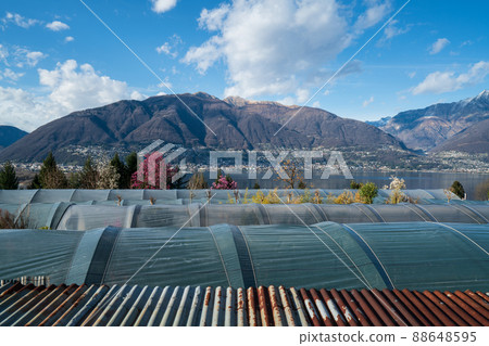 In the shop of botanic park in Gambarogno, Switzerland In the shop of botanic park in Gambarogno, Switzerland 88648595