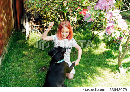 Little girl playing and training her dog on a green lawn in the garden. Having fun with domestic animals. . Love animals concept. School holidays at home. Selective focus 88648679