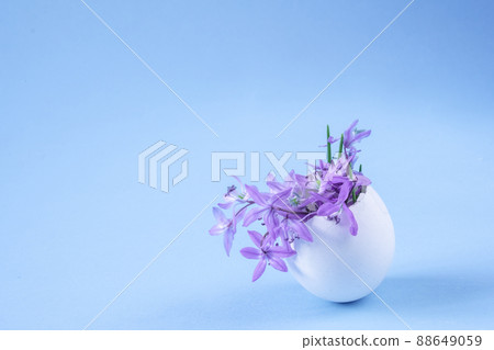 Eggshell with spring flowers on a blue background. Easter decor and 88649059
