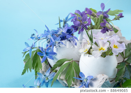 packaging for eggs and spring flowers in an eggshell. Floral Easter 88649085