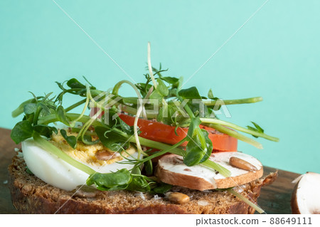 Toast with egg, champignons, tomato and microgreens on a blue 88649111