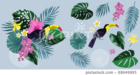 Tropical composition with toucan and tropic leaves Tropical composition with toucan and tropic leaves 88649995