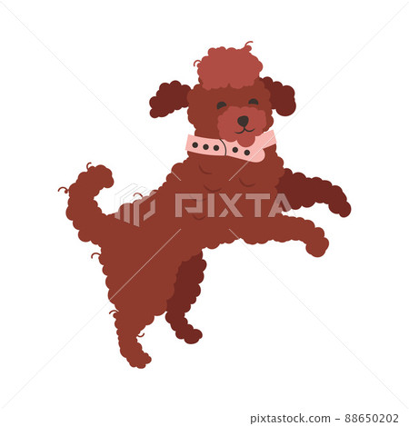 Jumping Dog as Domestic Pet with Collar Vector Illustration Jumping Dog as Domestic Pet with Collar Vector Illustration 88650202
