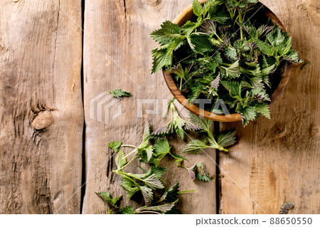 Heap of young nettle leaves 88650550