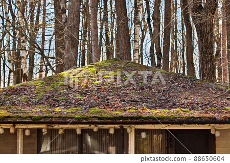 Residential Roof Covered in Moss and Debris in Desperate Need of Repair or Replacement Residential Roof Covered in Moss and Debris in Desperate Need of Repair or Replacement 88650604