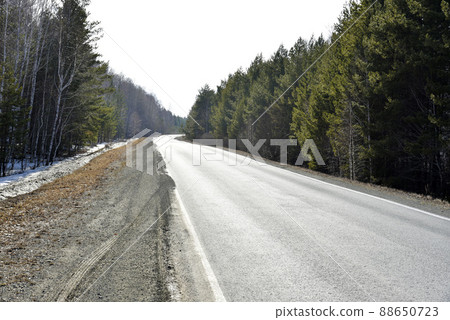 Spring forest and snow and asphalt road Spring forest and snow and asphalt road 88650723