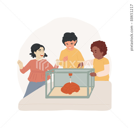 3d printing class isolated cartoon vector illustration. 3d printer, day camp, printing online class, PA program, technology and science lesson, daycare center, after school vector cartoon. 3d printing class isolated cartoon vector illustration. 3d printer, day camp, printing online class, PA program, technology and science lesson, daycare center, after school vector cartoon. 88651217