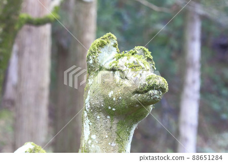Fox statue at Inari Shrine Fox statue at Inari Shrine 88651284