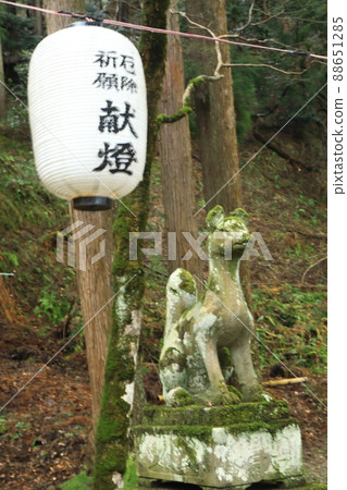 Fox statue and god lantern at Inari Shrine Fox statue and god lantern at Inari Shrine 88651285