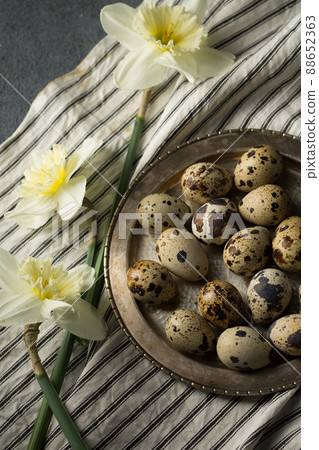 Quail eggs with spring daffodils Quail eggs with spring daffodils 88652363