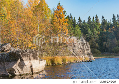 Trees on the cliffs of Lake Ladoga at autumn evening. Trees on the cliffs of Lake Ladoga at autumn evening. 88652596