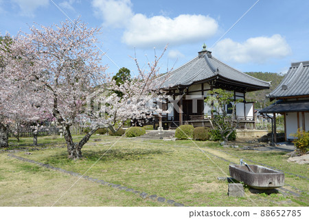 Spring Osawaike, Shodendo, Ukyo-ku, Kyoto 88652785