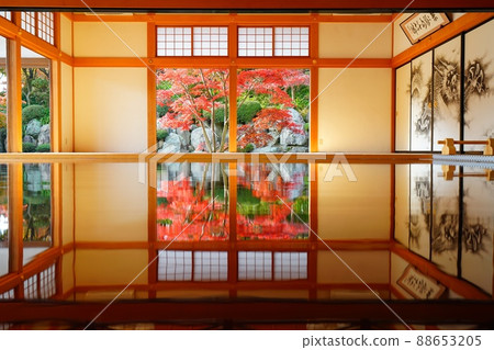 Floor maple at Baotokuji Floor maple at Baotokuji 88653205