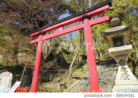 Tanzan Shrine [Taika Reform birthplace, Tonomine, Sakurai City, Nara Prefecture] 88654381