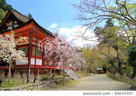 Tanzan Shrine [Taika Reform birthplace, Tonomine, Sakurai City, Nara Prefecture] 88654387