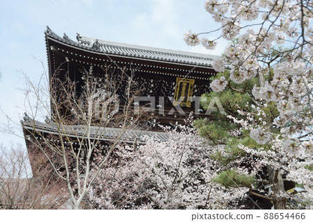 Spring Konkai Komyoji Sanmon, 黑谷, 左京區, 京都 Spring Konkai Komyoji Sanmon, 黑谷, 左京區, 京都 88654466