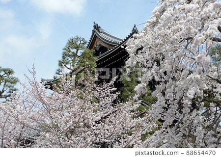 Spring Konkai Komyoji Sanmon, 黑谷, 左京區, 京都 88654470
