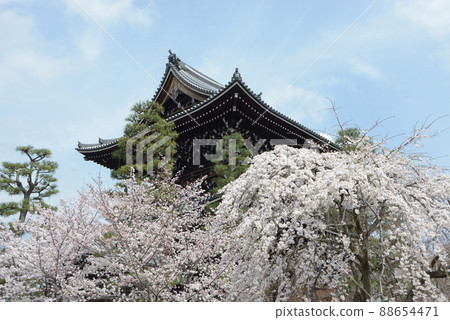 Spring Konkai Komyoji Sanmon, 黑谷, 左京區, 京都 Spring Konkai Komyoji Sanmon, 黑谷, 左京區, 京都 88654471