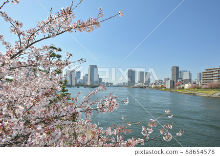 從東京越中島公園附近看晴海 88654578