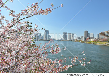 A view of Harumi from the vicinity of Etchujima Park in Tokyo 88654579