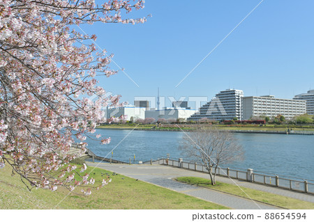 Scenery of Etchujima Park from Sumida River Terrace, Tokyo 88654594