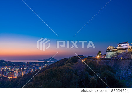 (Ehime Prefecture) Night cherry blossoms at Matsuyama Castle City lights 88654704