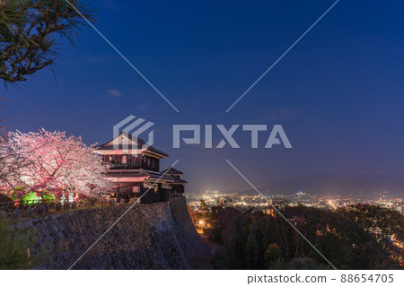(Ehime Prefecture) Night cherry blossoms at Matsuyama Castle City lights 88654705