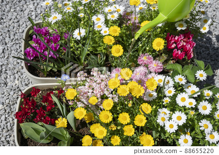 Spring gardening group planting jug 88655220