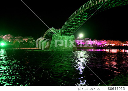 岩國市錦帶橋和櫻花的夜景 岩國市錦帶橋和櫻花的夜景 88655933