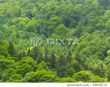 Mountains seen from Kawaragejigoku (Yuzawa City, Akita Prefecture) 88656217