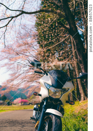 Spring bike touring Sakura blooming Satoyama road g-3 film style 88657023