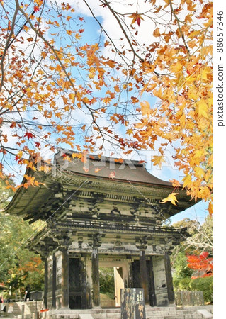 Mitsui-ji Temple Autumn Leaves and Niomon 88657346