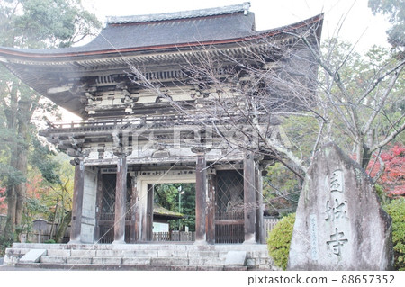 三井寺二王門 88657352