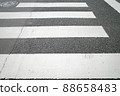 crosswalk  88658483