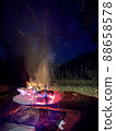 I had a bonfire at the camp at night 88658578