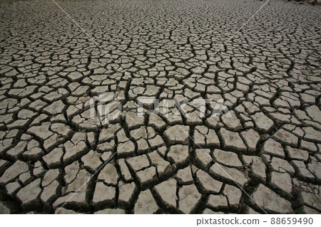 the drought season in Hong Kong, Lower Shing Mun Reservoir 88659490