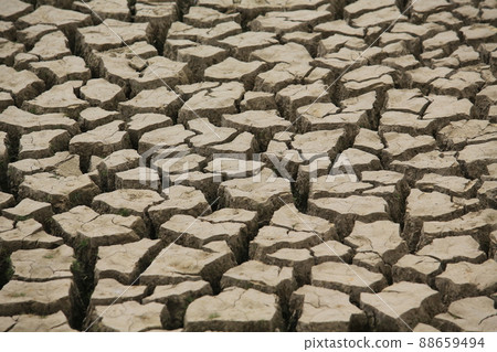 the drought season in Hong Kong, Lower Shing Mun Reservoir the drought season in Hong Kong, Lower Shing Mun Reservoir 88659494