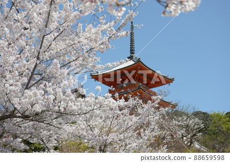 京都市東山區春天清水寺三重塔 88659598