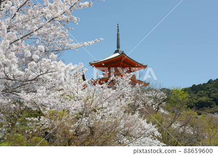 Spring Kiyomizudera Mie Tower, Higashiyama Ward, Kyoto City Spring Kiyomizudera Mie Tower, Higashiyama Ward, Kyoto City 88659600