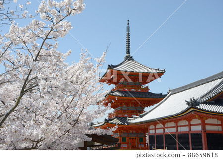 京都市東山區春天清水寺三重塔 88659618