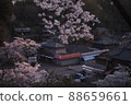 Japanese house seen in the cherry blossoms 88659661