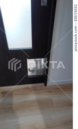 Cat door 88659892