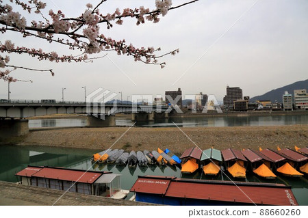 Spring castle town 67 (Gifu City, Gifu Prefecture: Gifu Park) Spring castle town 67 (Gifu City, Gifu Prefecture: Gifu Park) 88660260